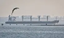 3 More Ships With Grain Depart Ukraine Ports Under UN Deal