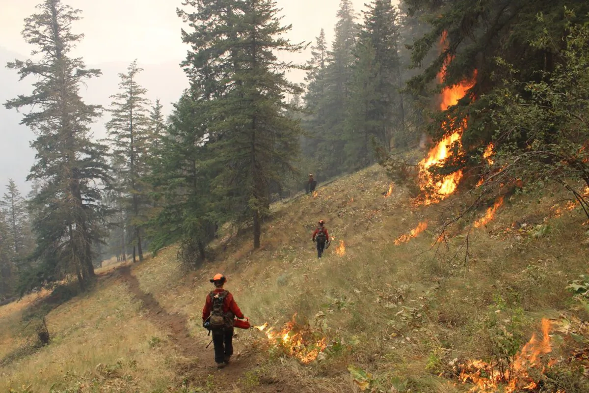 A Unit Crew conducts planned ignitions above Yellow Lake near Olalla this recent handout photo. (The Canadian Press/HO/BC Wildfire Service)