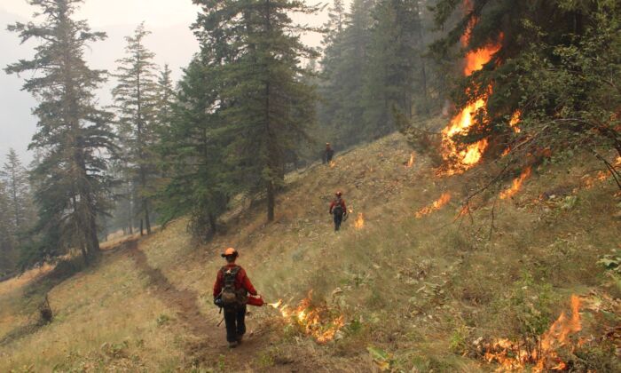 A Unit Crew conducts planned ignitions above Yellow Lake near Olalla this recent handout photo. (The Canadian Press/HO/BC Wildfire Service)