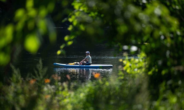 A paddler enjoys the Rideau River in Ottawa, Ont. on July 23, 2022. (The Canadian Press/Spencer Colby)