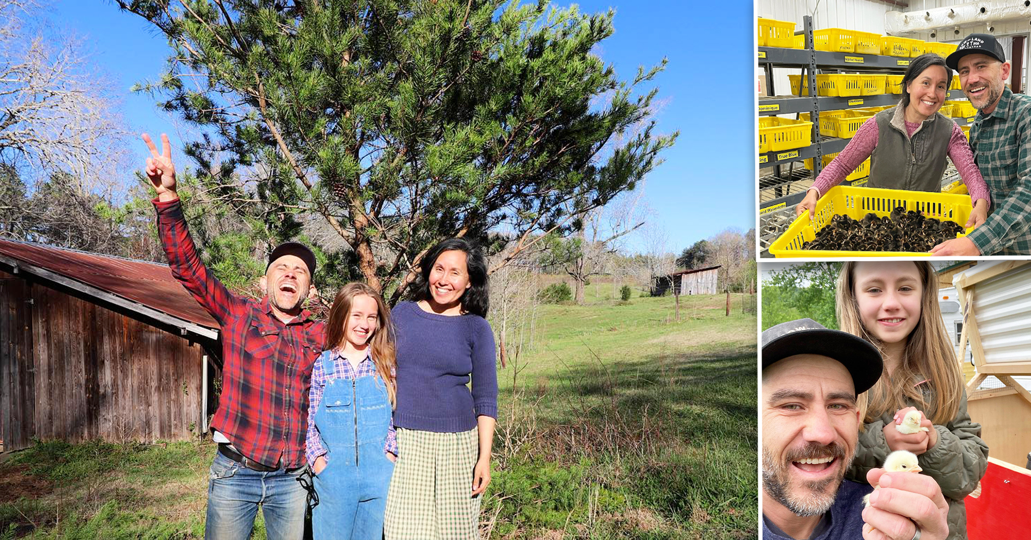Couple leave the city and transition to a homestead life in the mountains to live intentionally