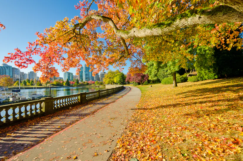 For the ancient Chinese, autumn’s descent from heaven on his earthly voyage was a time of rebirth and renewal.(romakoma/Shutterstock)