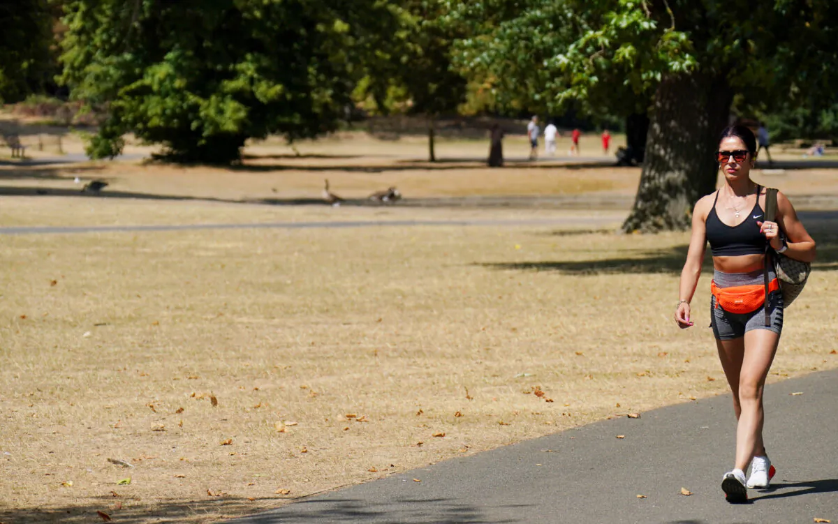 A visitor to London's Regents Park walks past a portion of parched parkland on Aug. 8, 2022. (Jonathan Brady/PA Media)