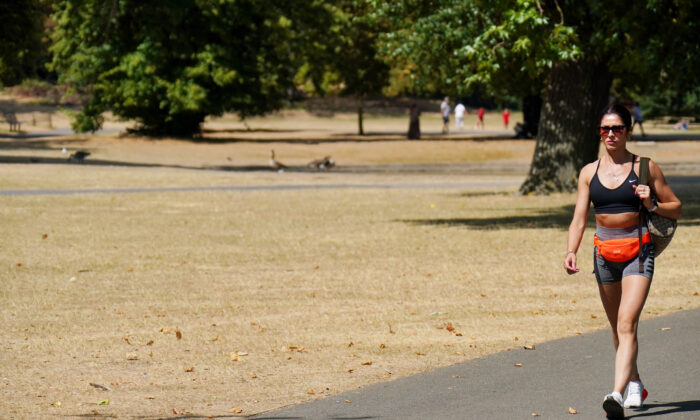 A visitor to London's Regents Park walks past a portion of parched parkland on Aug. 8, 2022. (Jonathan Brady/PA Media)