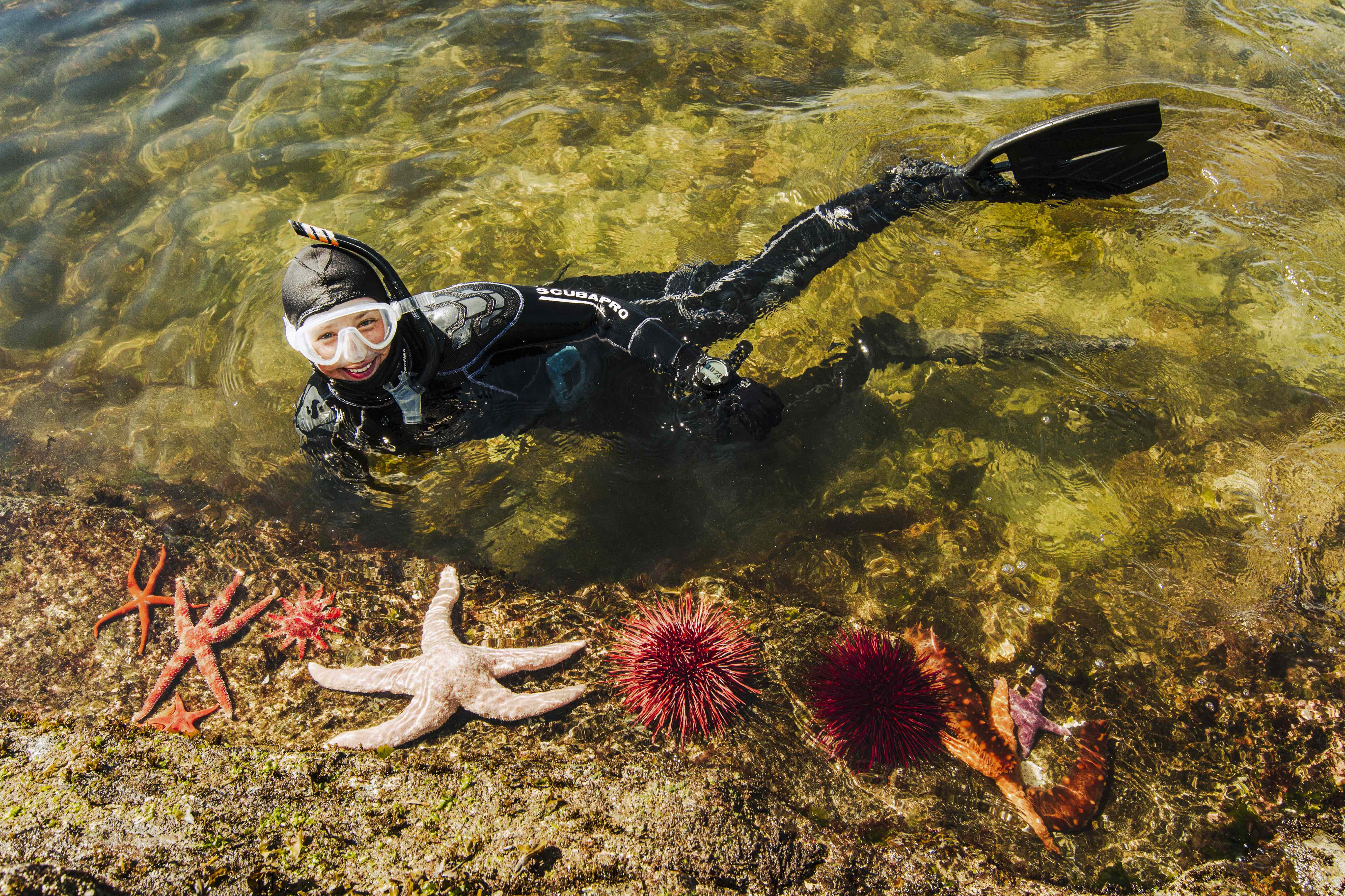 Snorkeling Adventures: Dive Beneath the Crisp Waters of Alaska to Discover One of the Most Densely Populated Ecosystems on Earth - Vimarsana News
