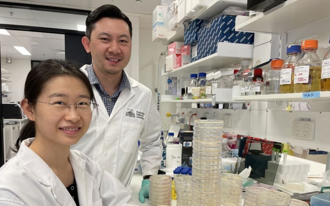 PhD scholar Shouya Feng (L) and Professor Si Ming Man. (Photo: Dr Chinh Ngo/ANU. Supplied by ANU)