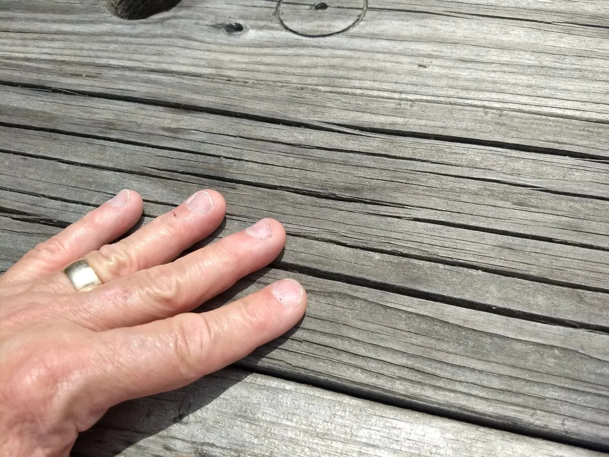 These pieces of outdoor wood decking show serious signs of neglect. The large cracks allow water to soak deep into the wood. (Copyright 2022 Tim Carter)