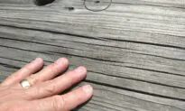 Why Your Deck Is Like a Toddler