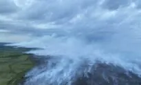 Community Cut Off by Newfoundland Forest Fires Running out of Food, Says Deputy Mayor
