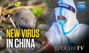 New Virus in China With Animal to Human Transmission