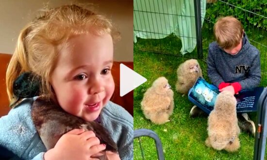 Children’s Selfless Actions to Love and Protect Animals