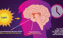 ​​What Are Circadian Rhythms?
