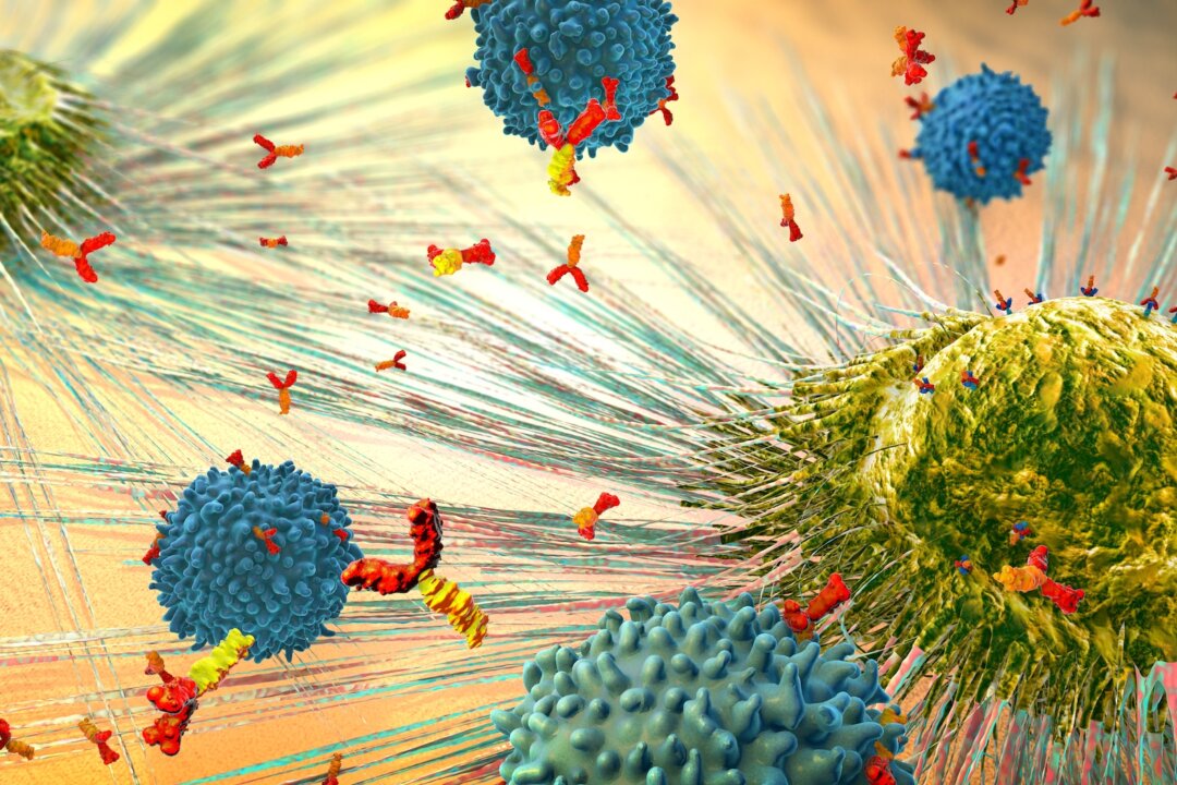 A "press-pulse therapy" for cancer, which allows the patient to maintain normal immune system function (Christoph Burgstedt/Shutterstock)