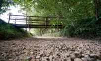 UK Environment Secretary ‘Strongly Urges’ Water Companies to Ban Hosepipes Amid Dry Weather