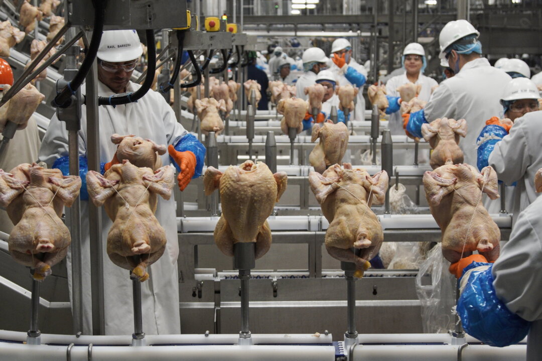 Workers process chickens at a poultry plant in Fremont, Neb., on Dec. 12, 2019. (Nati Harnik/AP Photo)