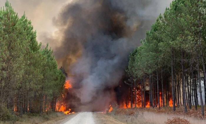 Flames consume trees at a forest fire in Saint Magne, south of Bordeaux, south western France, on Aug. 10, 2022. ( SDIS 33 Service Audiovisuel via AP)