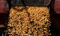 Food Prices Fell Again in July, UN Agency Says