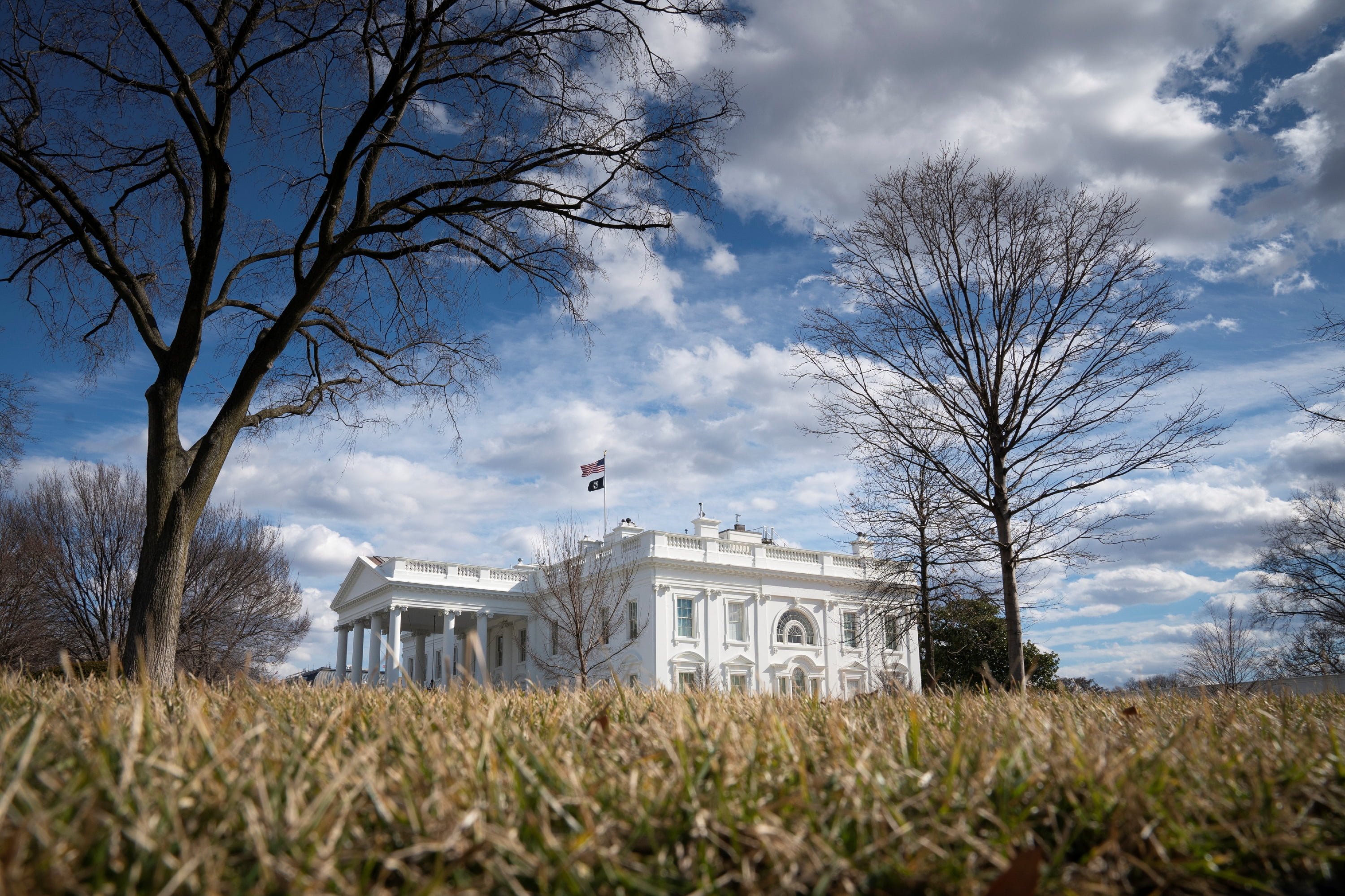 America's Voting Patterns and the 2024 Elections - Vimarsana News