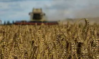 2 More Grain Ships Leave Ukraine, Turkey’s Defense Ministry Says