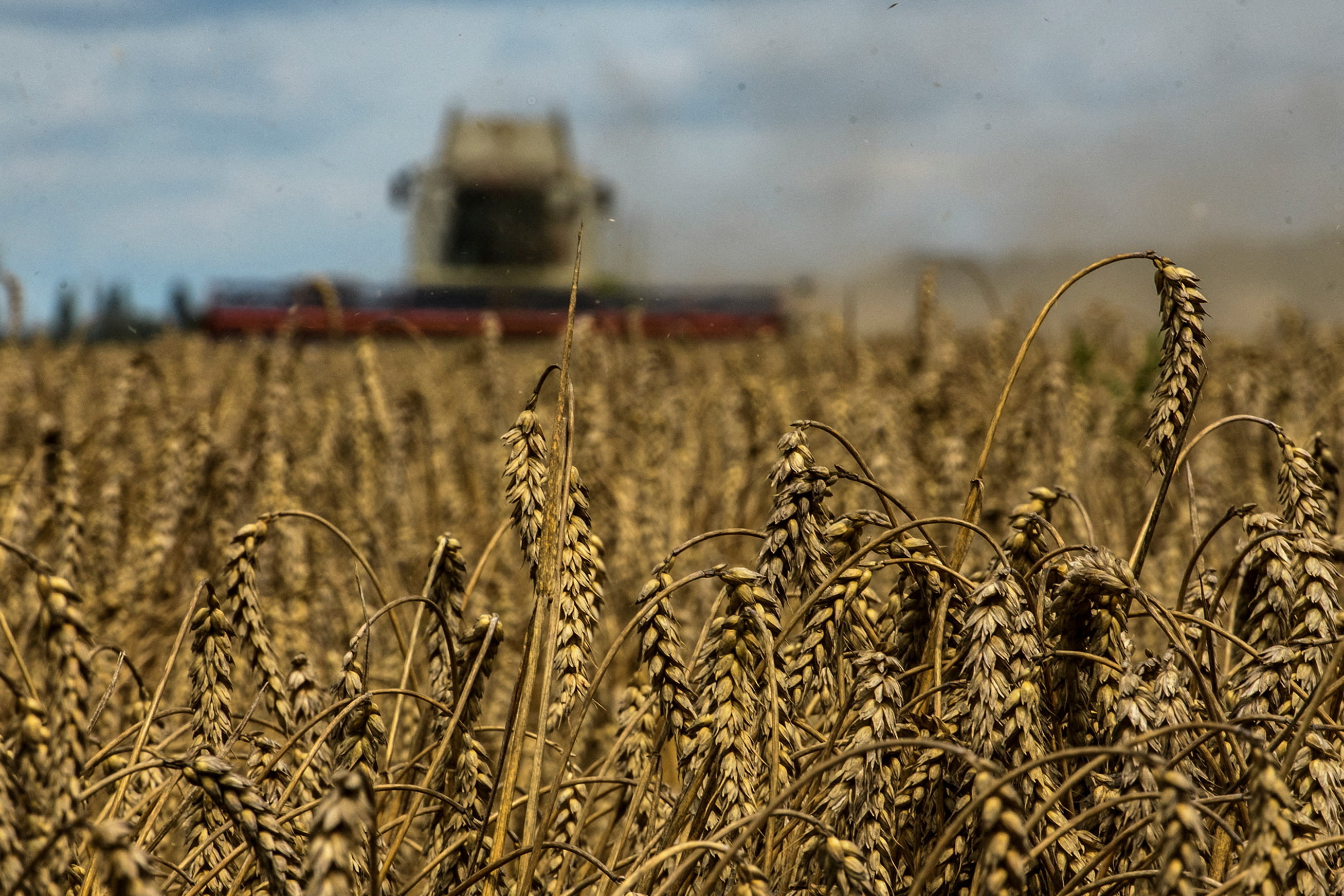 Wheat Climbs Over 5 Percent to 2-Week High as Russia Suspends Black Sea Agreement - Vimarsana News