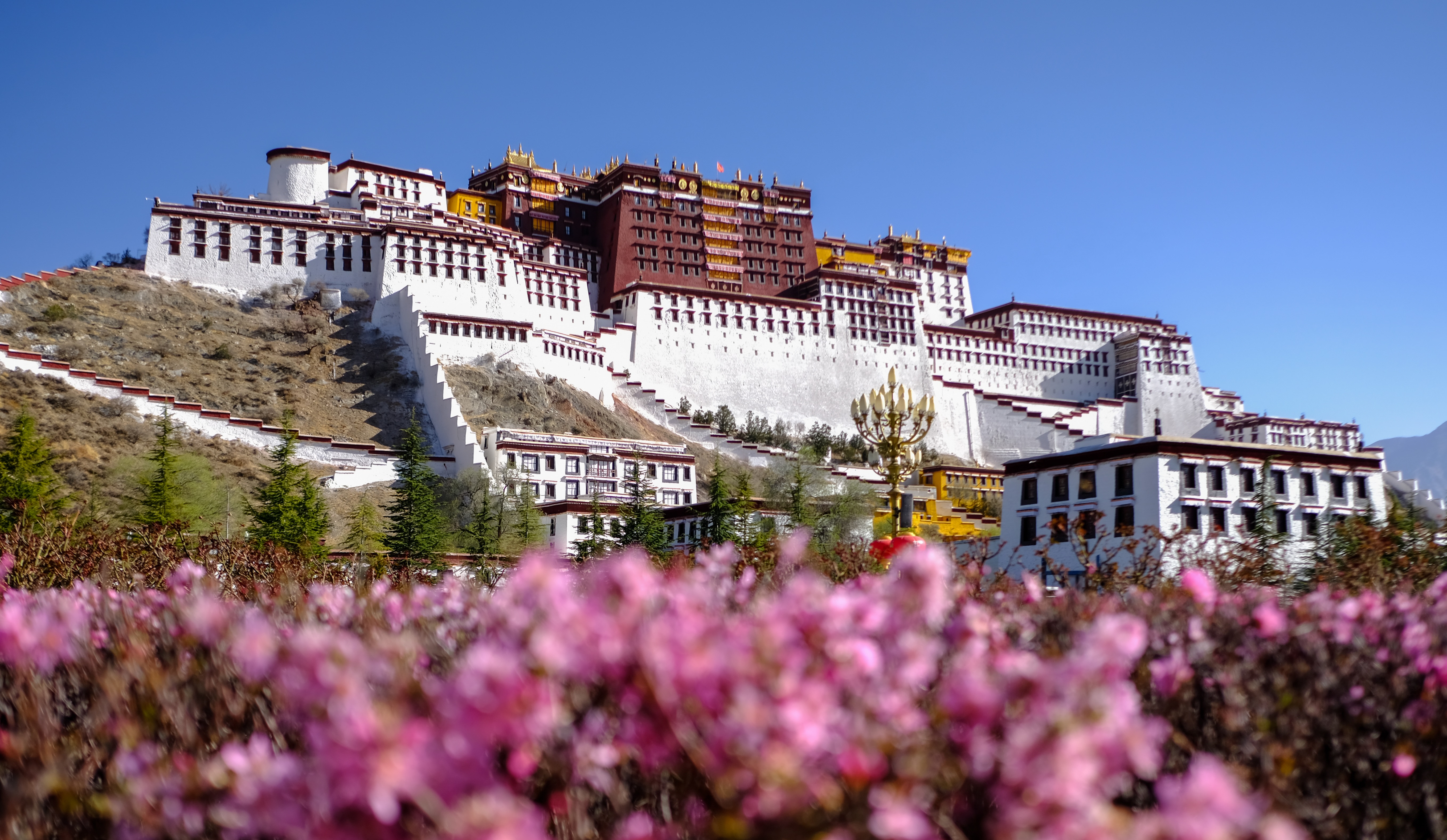 Tibetan Independence Is Now - Vimarsana News