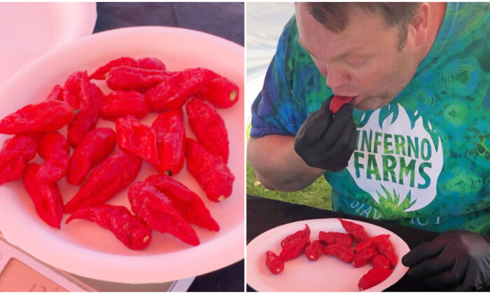 Gregory Foster speed-eating ghost chili peppers in San Diego, Calif., in November 2021. (Courtesy of Guinness World Records)