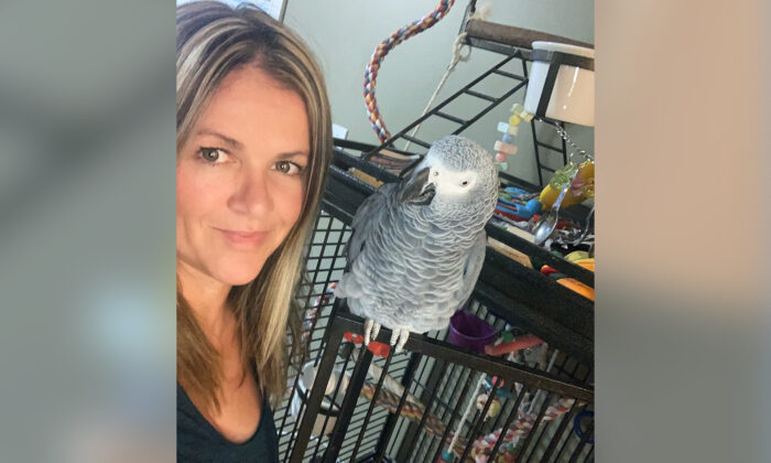 'Smarten Up, Man!': Bossy African Grey Parrot Loves Calling Out His Family and Their Cats