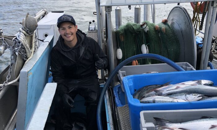 Kris Dudoward is shown aboard the commercial fishing vessel Irenda earlier this week with catch of sockeye salmon on B.C.’s Skeena River near Prince Rupert. (The Canadian Press/HO/Mitch Dudoward)