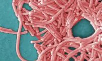 Montreal Public Health Investigating After Man Dies From Legionnaires’ Disease