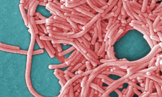 Montreal Public Health Investigating After Man Dies From Legionnaires’ Disease