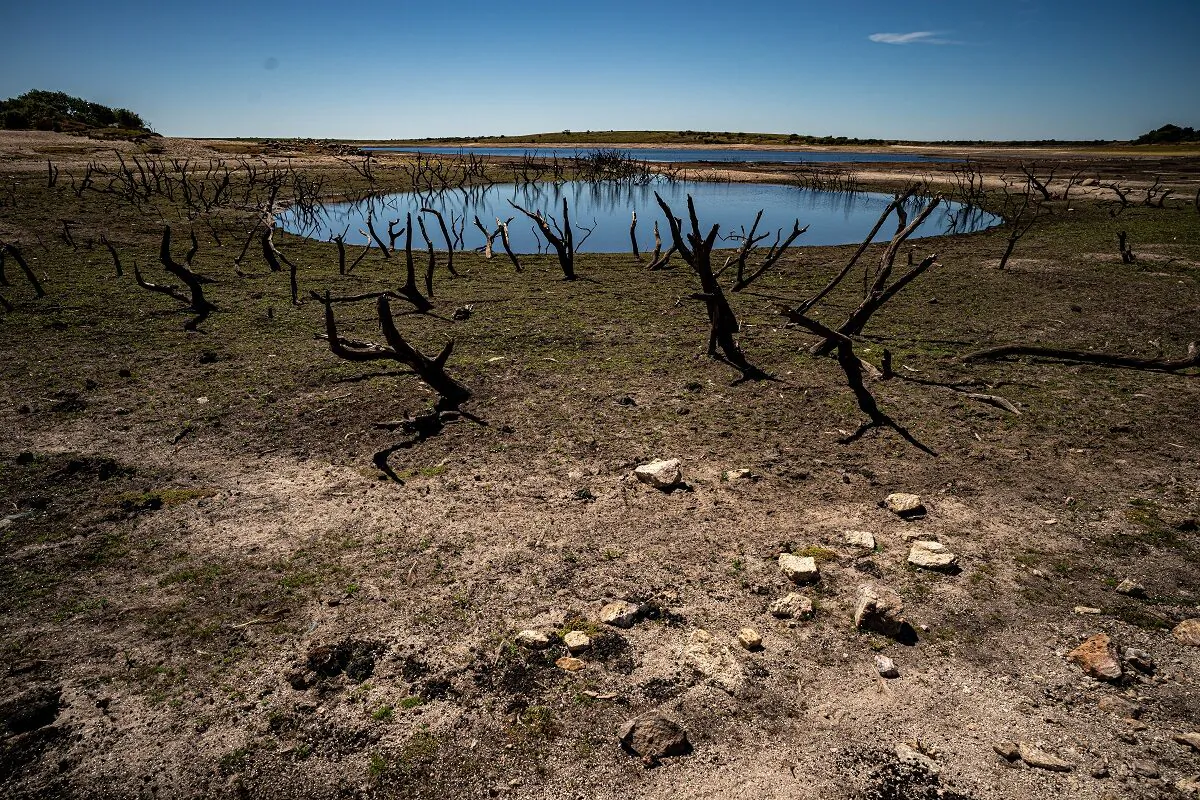 Dried mud and old trees at Colliford Lake in Cornwall, where water levels have severely dropped, on Aug. 10, 2022. (PA)