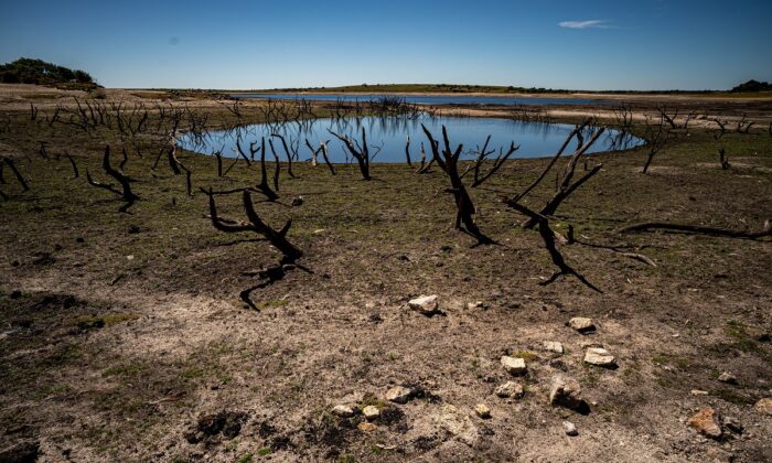 Dried mud and old trees at Colliford Lake in Cornwall, where water levels have severely dropped, on Aug. 10, 2022. (PA)