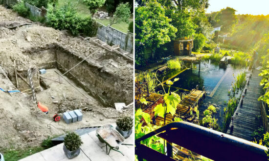 Couple Transform Their Garden Into Plant-Filled Swimming Pool That is Chlorine and Chemical Free