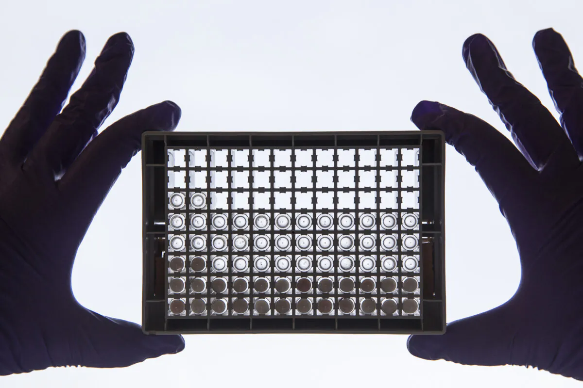 In this unrelated file image, a cancer researcher examines cells in a 96-well plate at a research facility in Cambridge, England, on Dec. 9, 2014. (Dan Kitwood/Getty Images/Cancer Research UK)