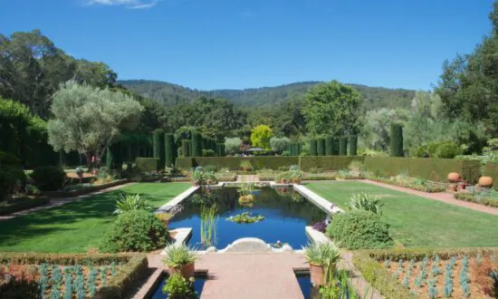 Summer Splendor at the Historic Filoli House and Garden