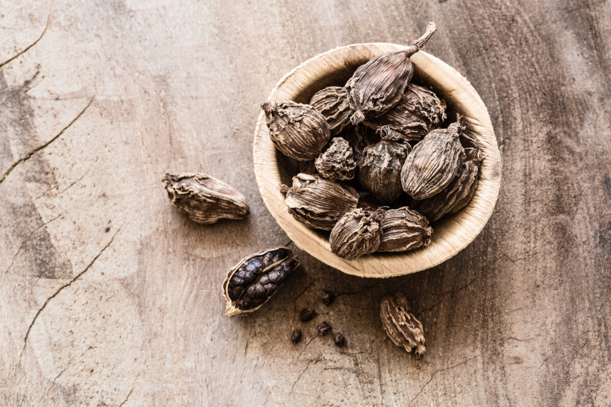 "With black cardamom being commonly used as an important spice in cooking, further in-depth investigation about its impact on lung cancer progression in the pre-clinical models can provide strong evidence in support of the 'food as medicine' philosophy of Hippocrates that has been neglected to great extent in the present day," says Gautam Sethi.(Rostovtsevayu/Shutterstock)