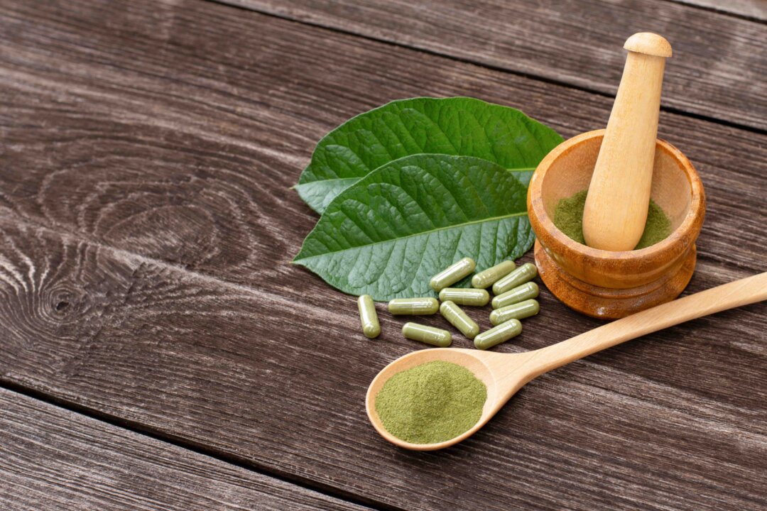 Fresh green Kratom leaf. (NIKCOA/Shutterstock)