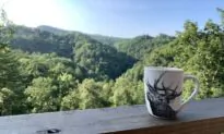 Gatlinburg, Tennessee- Family Fun in the Smoky Mountains Where to Stay