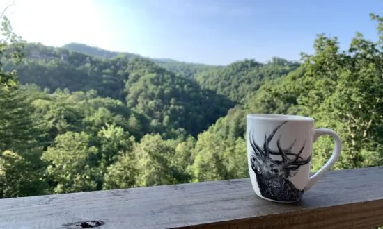 Gatlinburg, Tennessee- Family Fun in the Smoky Mountains Where to Stay