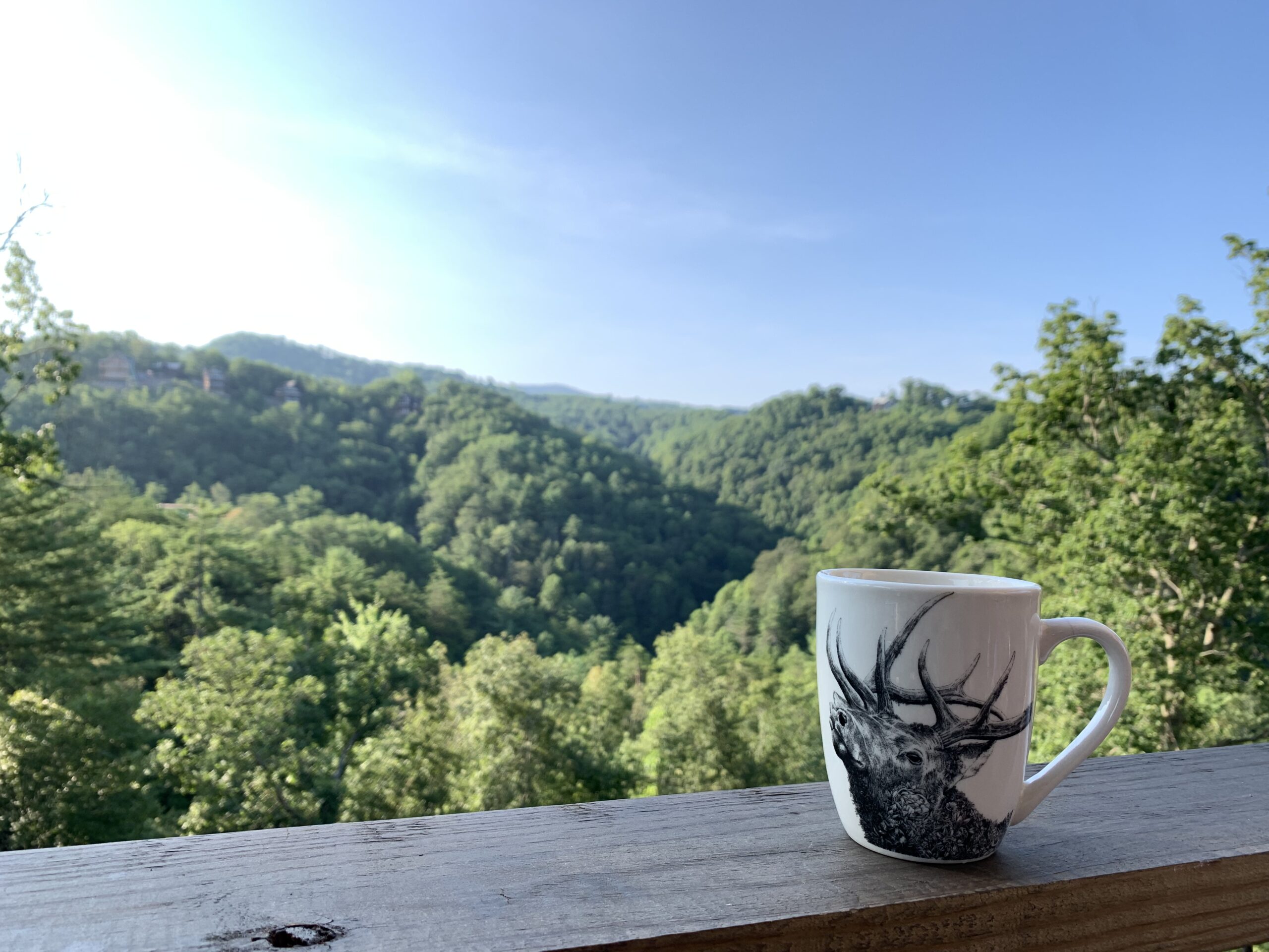 Gatlinburg, Tennessee- Family Fun in the Smoky Mountains Where to Stay - Vimarsana News
