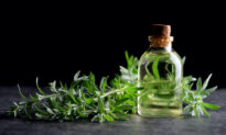 Absinthe: The Dangers of the Green Fairy
