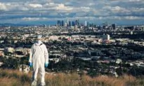 A Deeper Dive Into the CDC Reversal