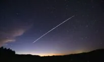 Is Elon Musk’s Internet Service Safe? Researcher Develops $25 Tool to Hack Into Starlink Terminal