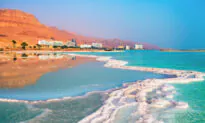 Top Things to Do in Tel Aviv and the Dead Sea