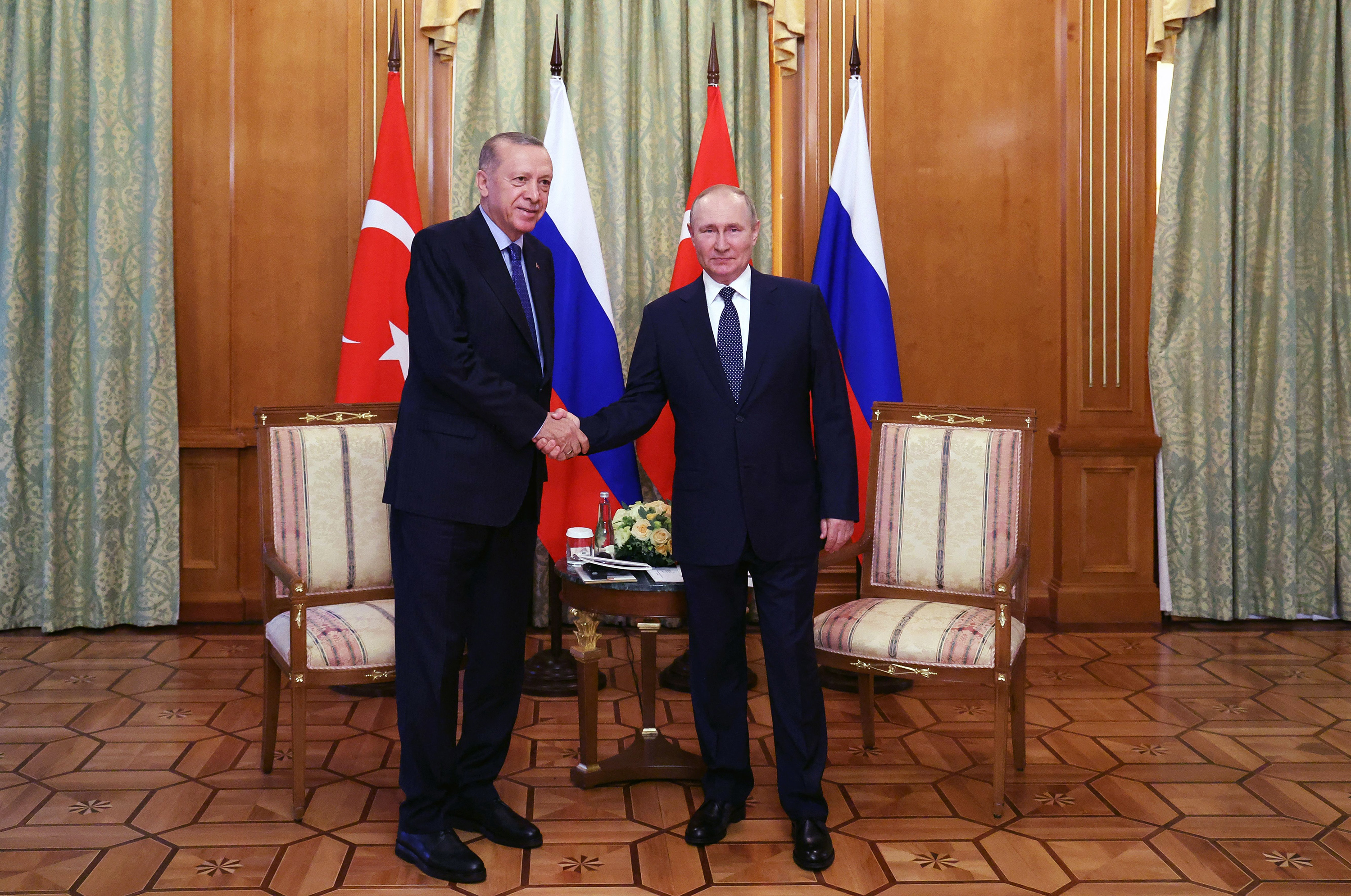 Western Fears of Turkish Tilt Toward Moscow Overblown, Say Experts - Vimarsana News