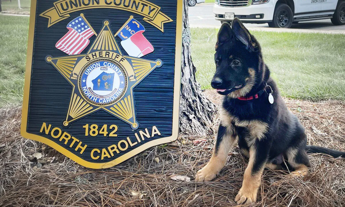 (Courtesy of Union County Sheriff's Office)
