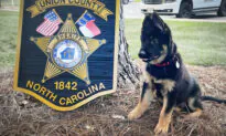 Sheriff ‘Hires’ New 11-Week-Old K9 Officer, Son of Explosives Detection Dog, Asks Public to Help Name Him