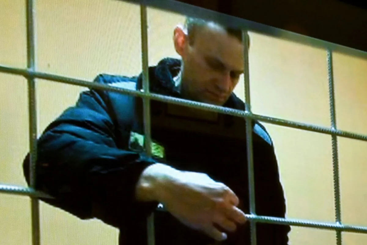 Opposition leader Alexei Navalny appears on a screen set up at a courtroom of the Moscow City Court via a video link from his prison colony during a hearing in Moscow on May 24, 2022. (Alexander Nemenov/AFP via Getty Images)