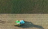 ‘Many Crops Will Fail’ Under Water Ban, Scottish Farmers Say