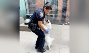 ‘This Pup Will Never Be Neglected Again’: NYPD Officer Adopts Dog She Rescued From a Hot Car